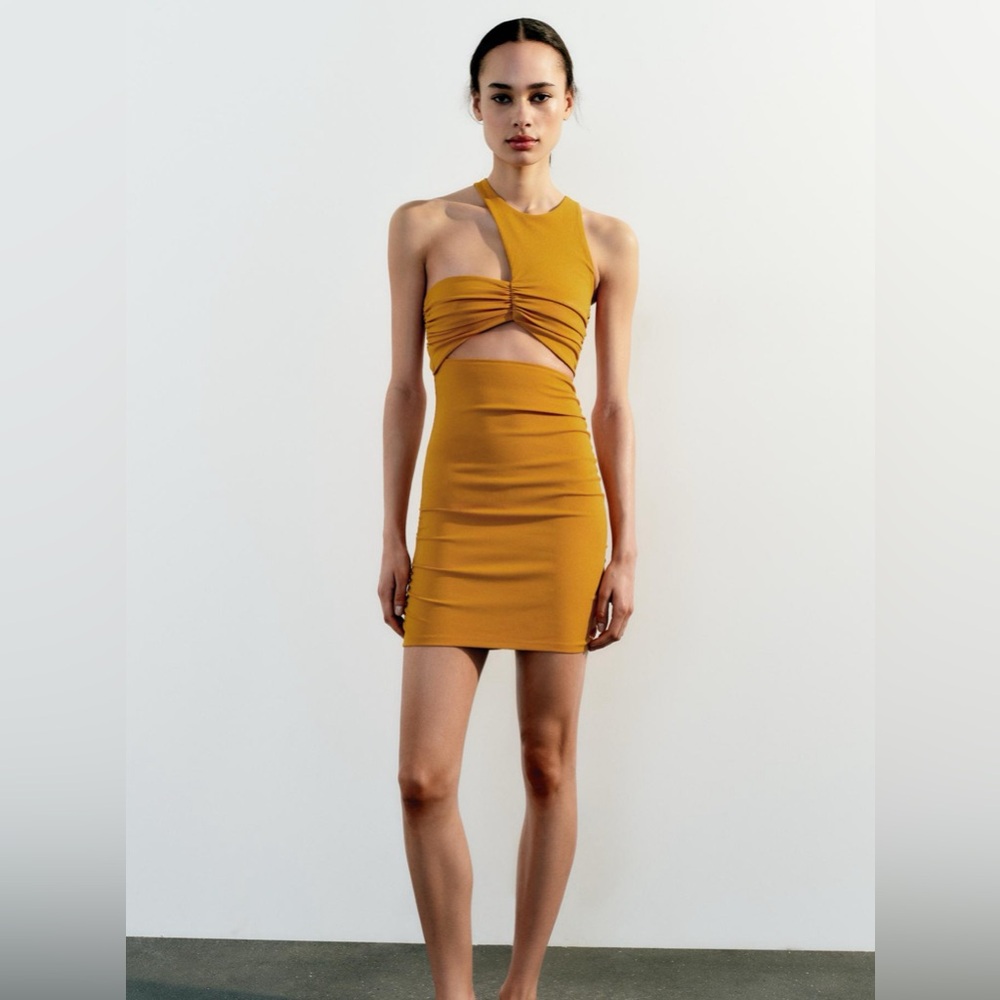 NWT ZARA FITTED CUT OUT DRESS